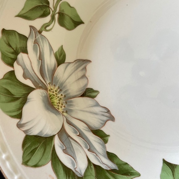 Homer Laughlin Eggshell Georgian Cotillion 8" Floral‎ Magnolia Soup Bowls Set 7 - Picture 4 of 5